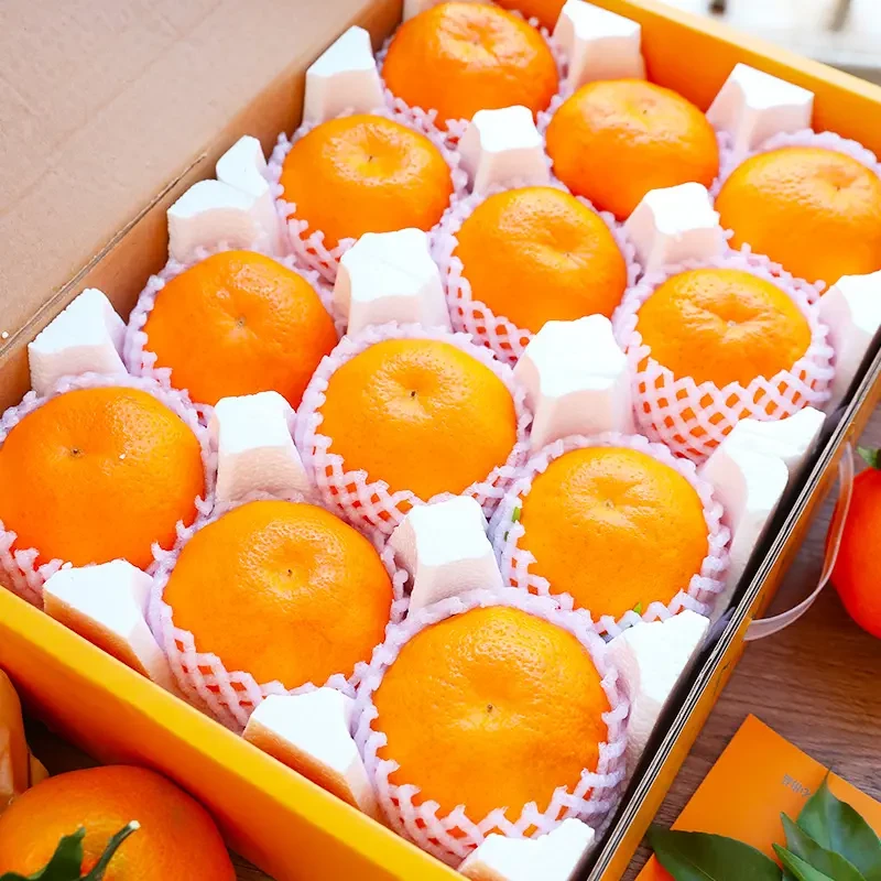 爆汁正宗春见耙耙柑甜橘现摘不知火丑橘耙耙柑酸爽香甜多汁整箱装
