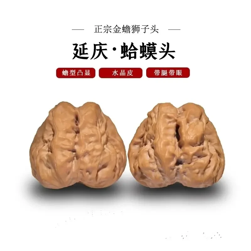 正宗精品老树延庆蛤蟆头文玩核桃金蟾狮子头闷尖有腿有眼开背呱呱