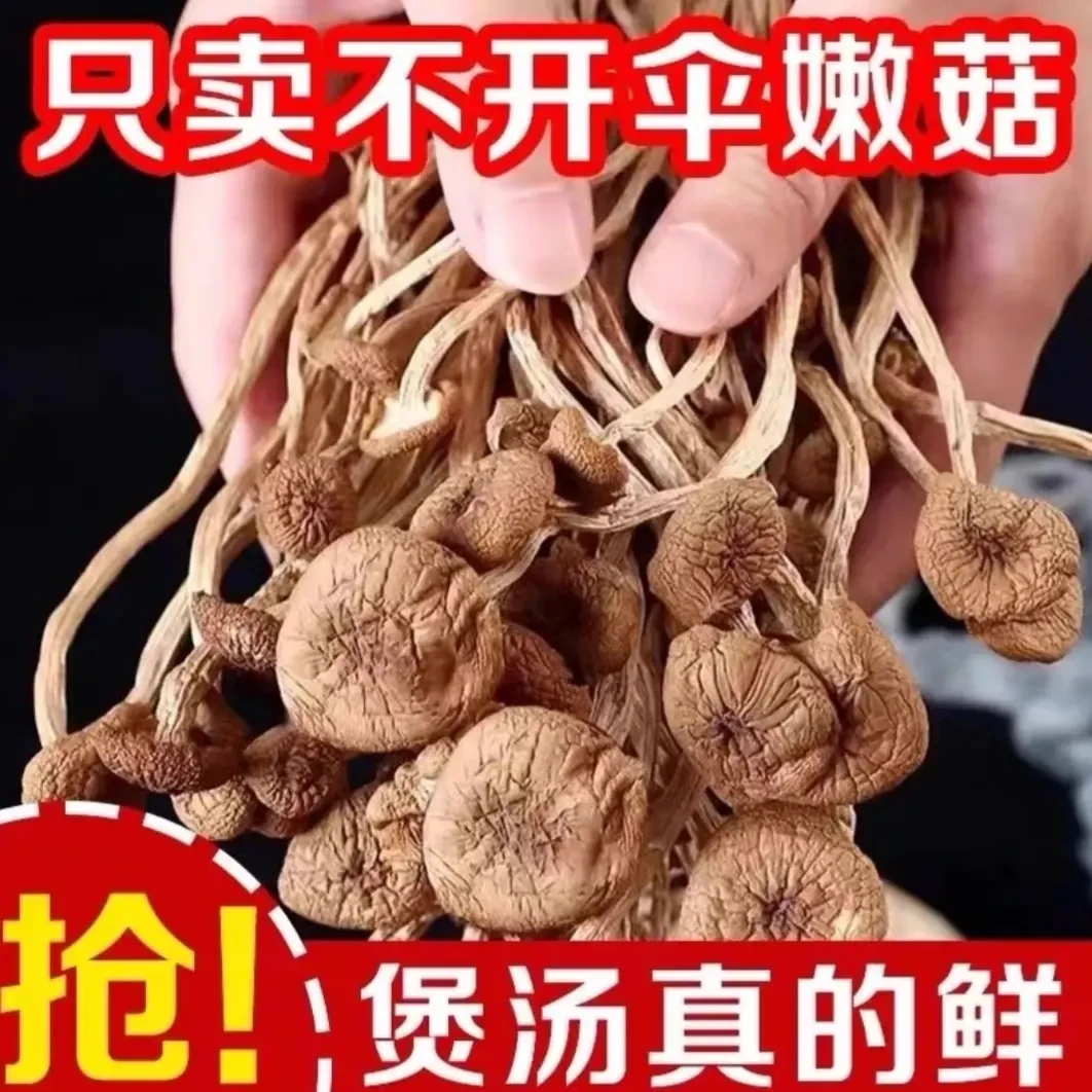 茶树菇干蘑菇干货新货可用于煲汤的农家特产菌菇鹿茸菇蘑菇正宗