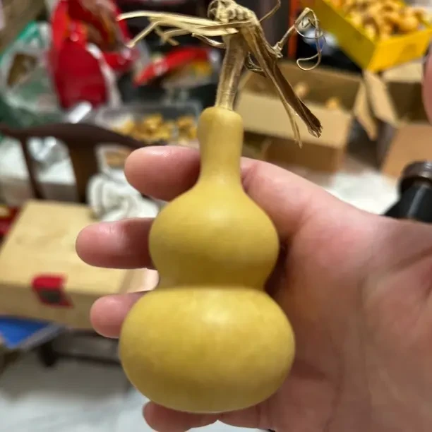天然包浆带龙头紫皮老葫芦文玩手捻摆件手把件