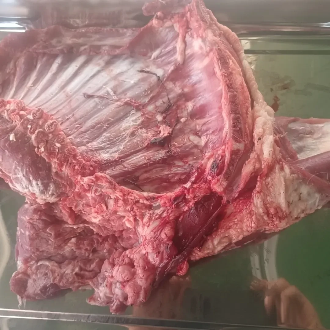 睢宁县太平山散养小山羊羊腿新鲜现杀肉质细嫩清炖红烧