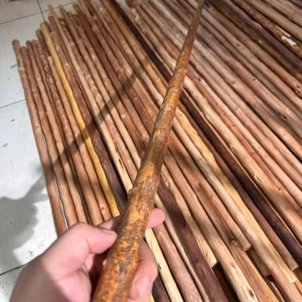 铁匠木,铁甲木,金刚木