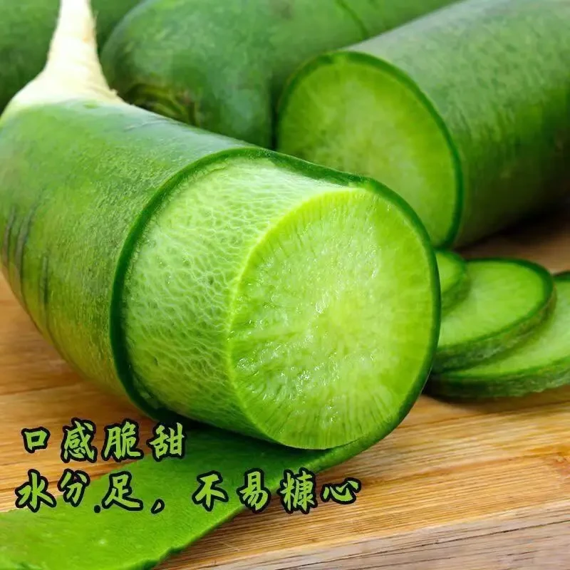 潍坊特产新鲜水果萝卜产地直发营养丰富清脆多汁微辣爽口经济实惠