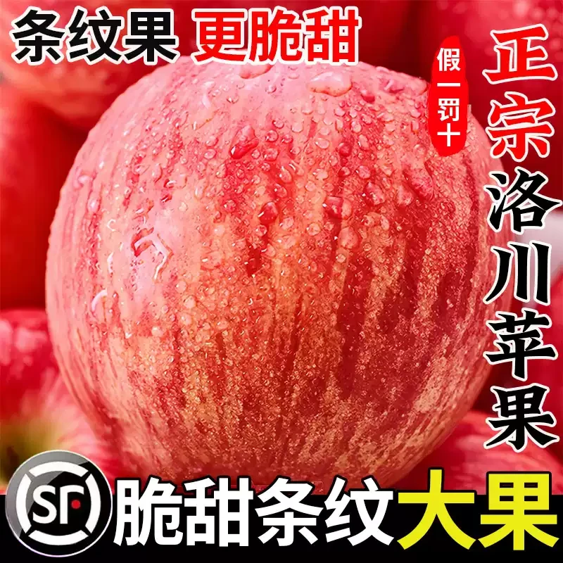 【东方甄选】头茬正宗陕西洛川苹果特大新鲜红富士鲜甜脆甜多汁苹果