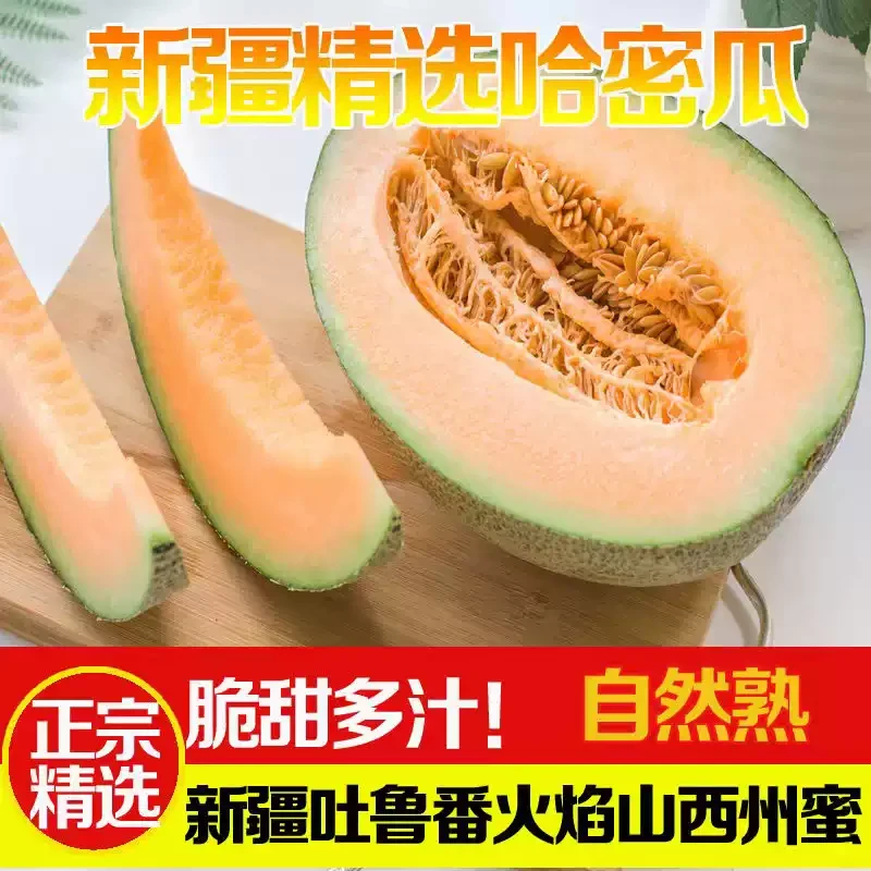 【山海寻鲜季新疆哈密瓜】火焰山哈西州密瓜水果新鲜当季原产地发货