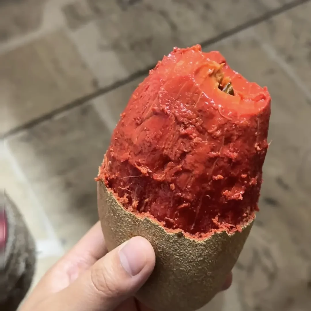 妈咪果中大苗易种带土带杯带叶发货