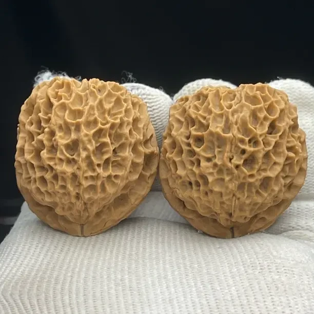 40mm臻龙绣球 一物一图 产地直发