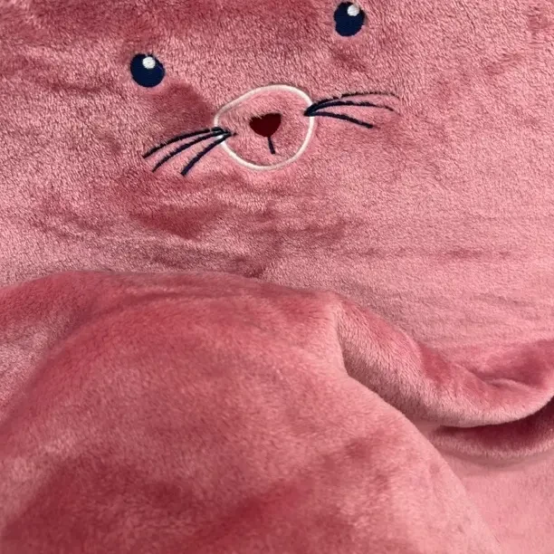 可爱卡通图案加厚吸水珊瑚绒毯子宠物盖毯