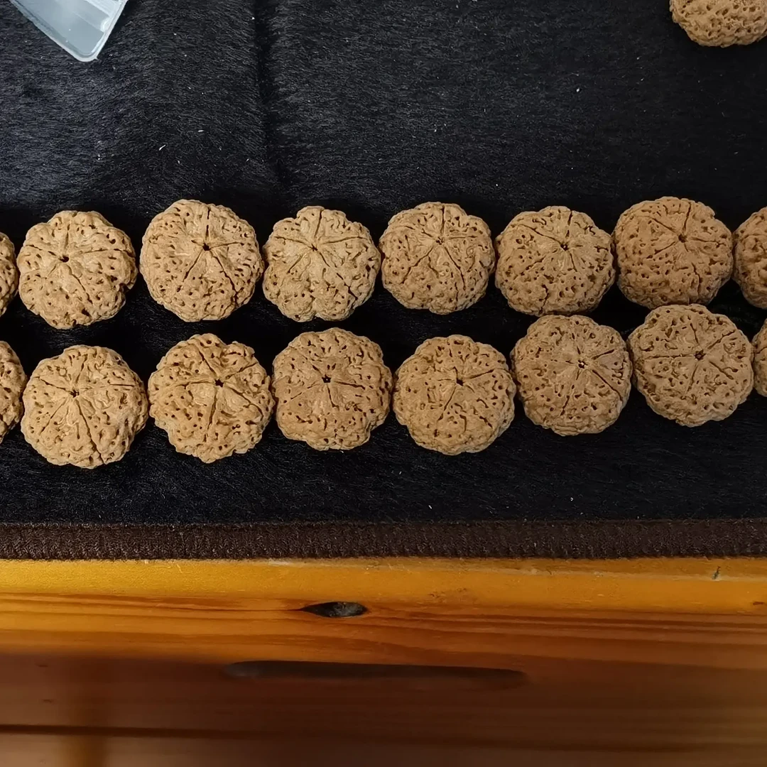 五瓣爆肉双龙纹大金刚菩提文玩手串