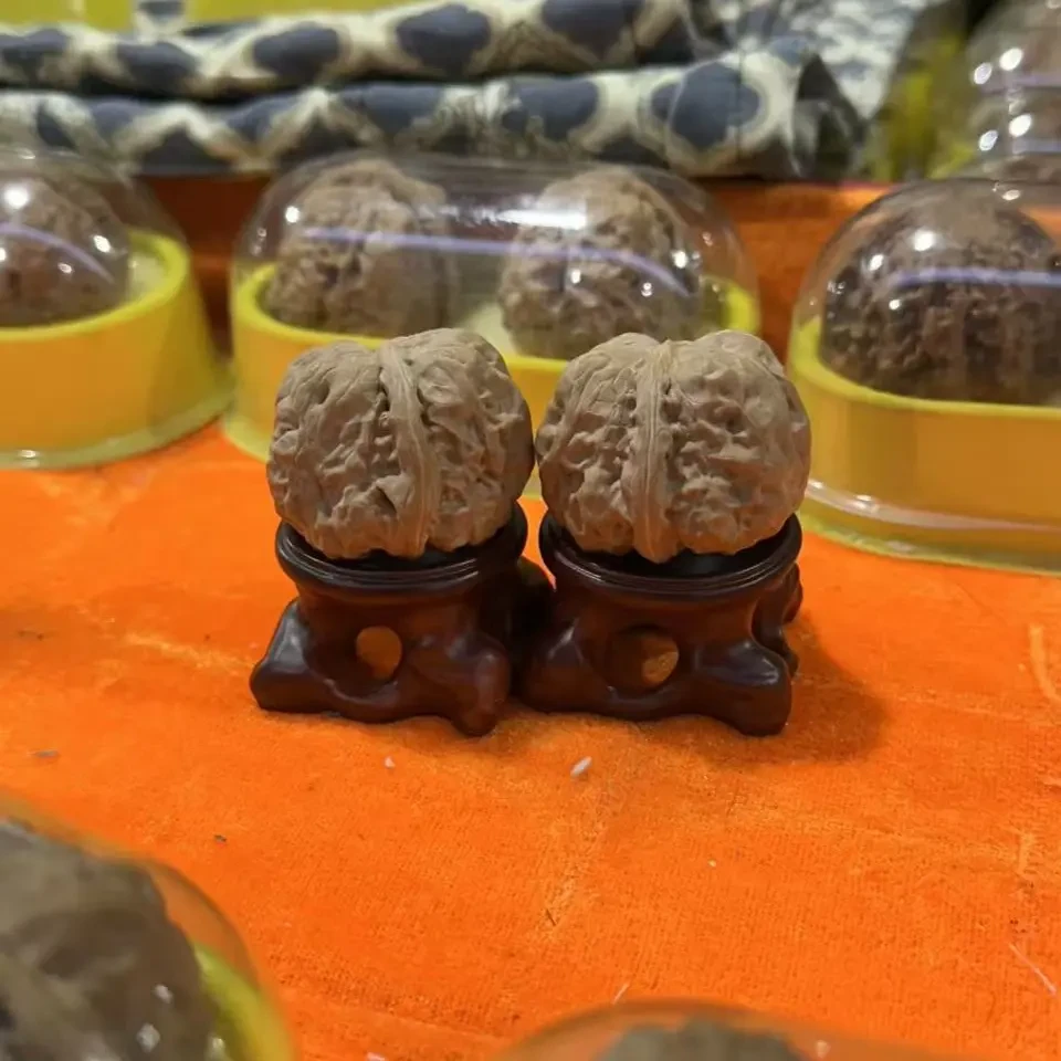 DHT006蛤蟆头核桃多样性随发