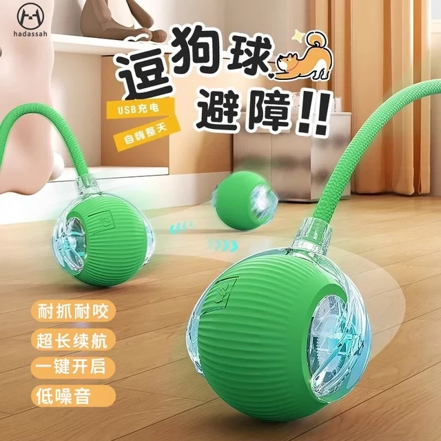狗狗猫咪玩具自动遛狗球宠物自嗨解闷耐咬电动智能逗狗跳跳球神器