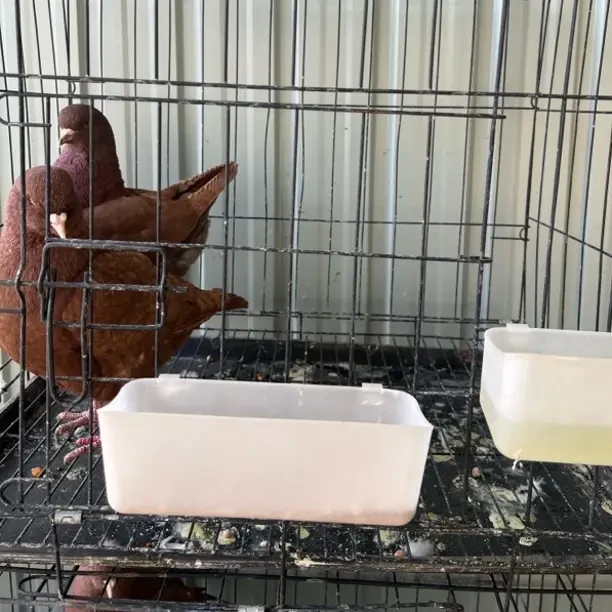 大中小型犬猫通用室内户外加粗折叠带厕所宠物笼