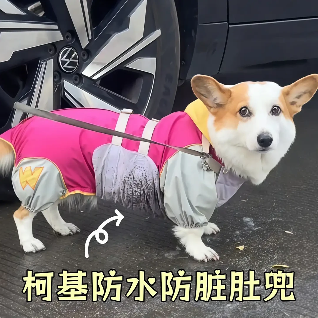 柯基肚兜狗狗防水防脏护肚子衣服宠物中小型犬专用防着凉保暖雨衣