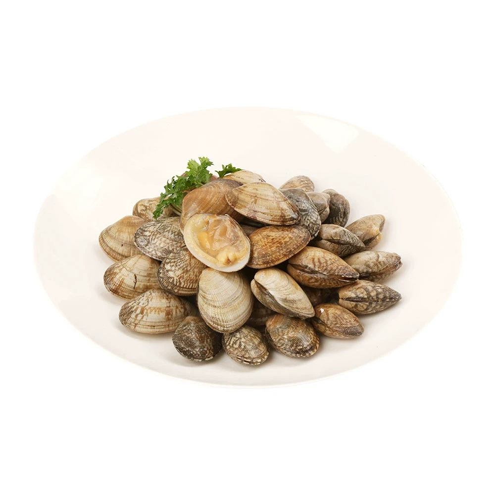 净化贝 鲜活花蛤 350g/盒 (约35-42粒)