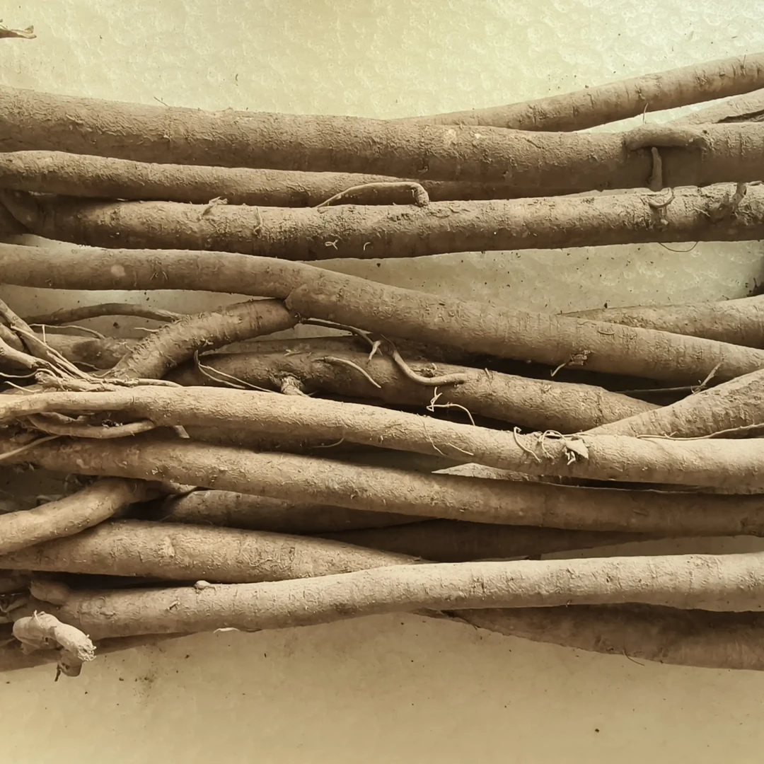 甘肃岷县原产地新鲜黄芪可煲汤泡水炖肉煮粥养生滋补品