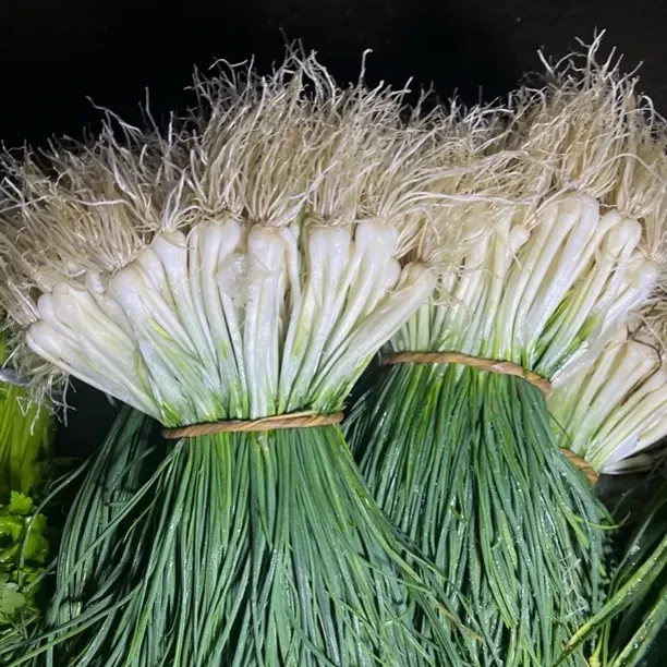 新鲜现挖农家磊口新市