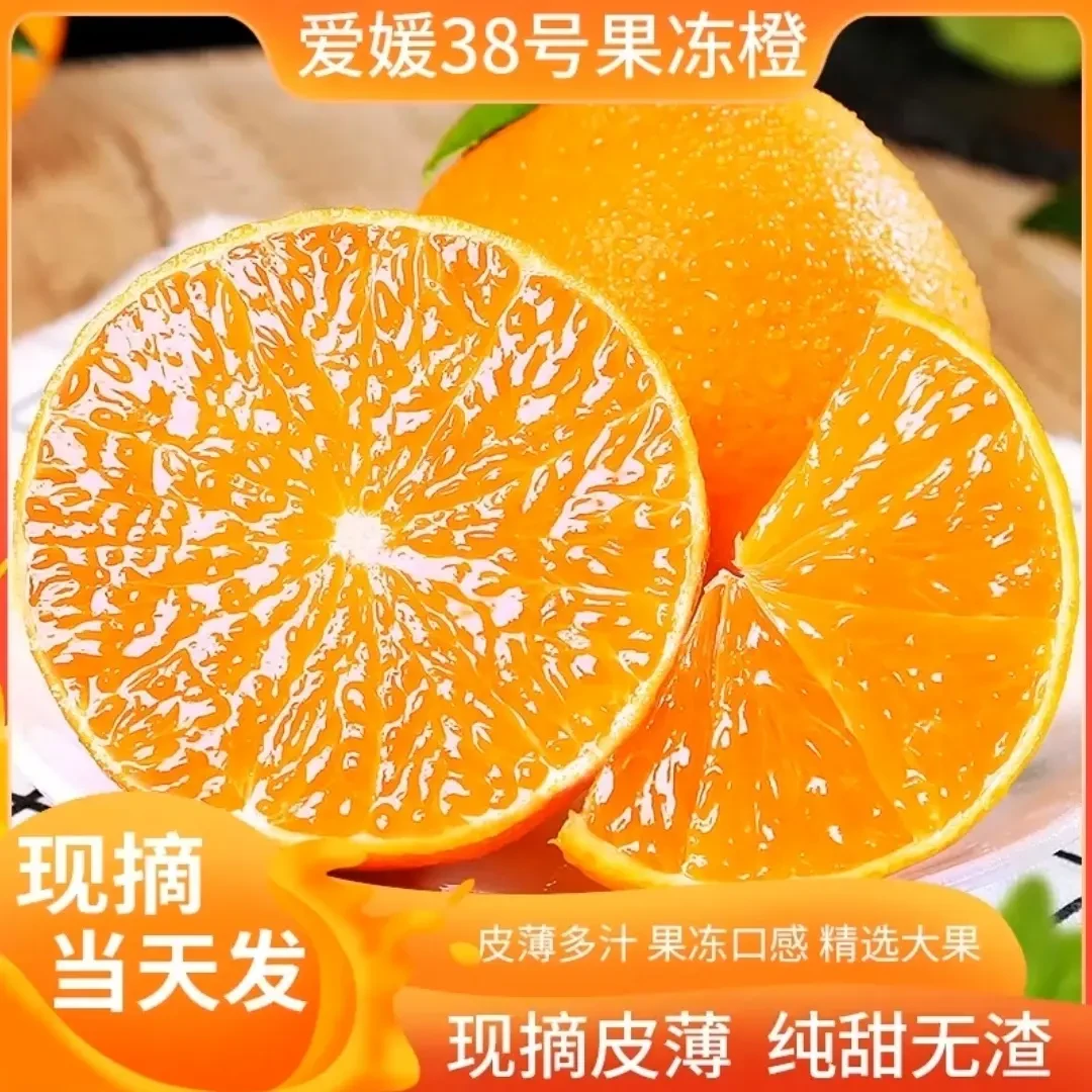新疆西藏内蒙东三省全国包邮浦江爱媛38号果冻橙皮薄多汁手剥橙子