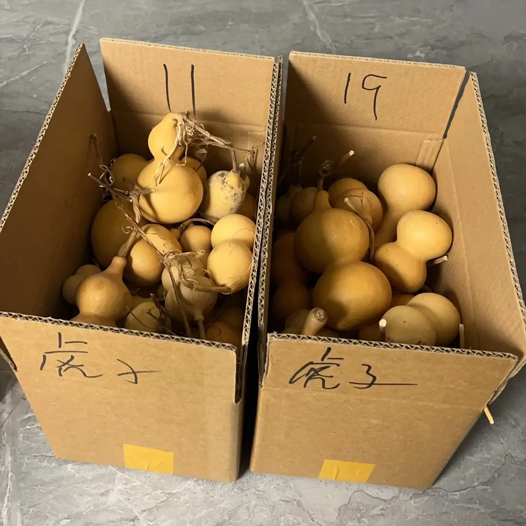 葫芦10米运费直播间专属改价链接