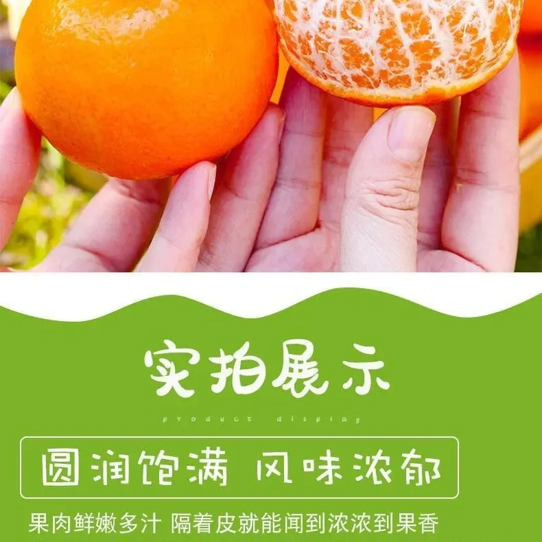 正宗福建漳州沃柑新鲜水果当季桔子整箱批发现摘自家种植