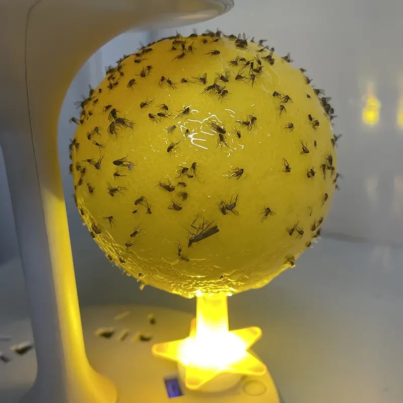 夏季室内发光诱虫球诱蝇球粘虫球陷阱诱粘蚊子苍蝇果蝇小飞虫杀虫