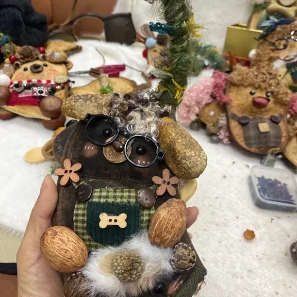 榼藤豆荚黑色豆荚小狗