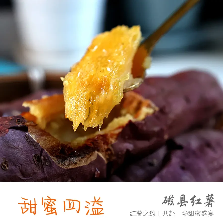 2.5KG地标产品|磁县红薯