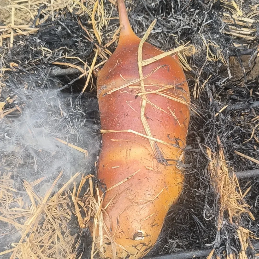 农家自养，顺丰包邮，现处理现发新鲜稻香竹子鼠