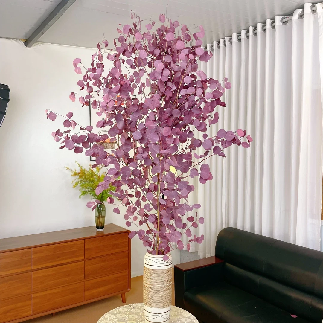 落地款苹果尤加利叶干养干放室内轻奢花材干插干放