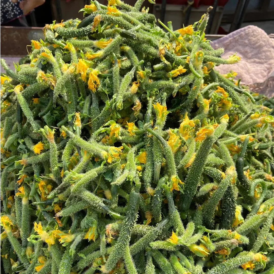 【腌渍小黄瓜种子】四季种植盆栽地栽阳台小院种植黄瓜种子新品种