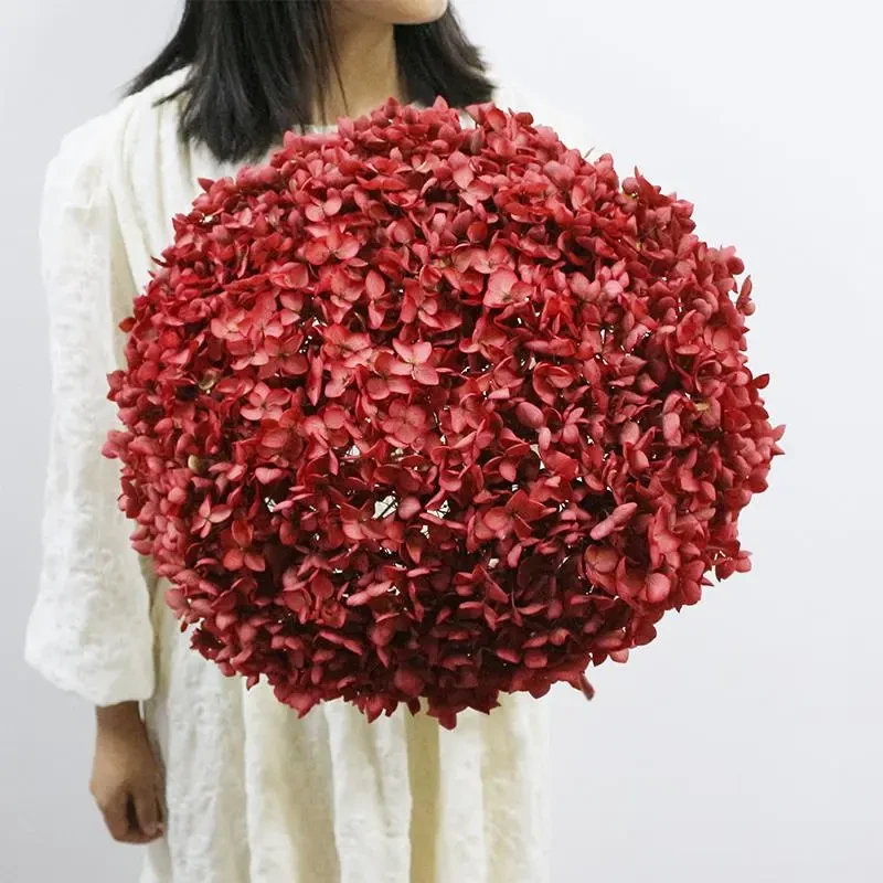 大叶绣球永生花天然干花真花家居客厅装饰插花婚庆布置彩色绣球花
