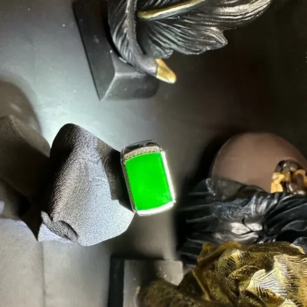 翠华Ecstasy纯天然缅甸翡翠高冰正阳绿 腾阁艺术