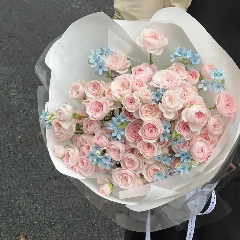 仙子之吻花束玫瑰花鲜花同城速递送女友告白生日全国附近门店配送