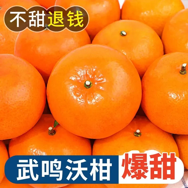 广西武鸣沃柑应季新鲜水果柑橘甜蜜多汁香甜爆汁砂糖橘橘子桔子
