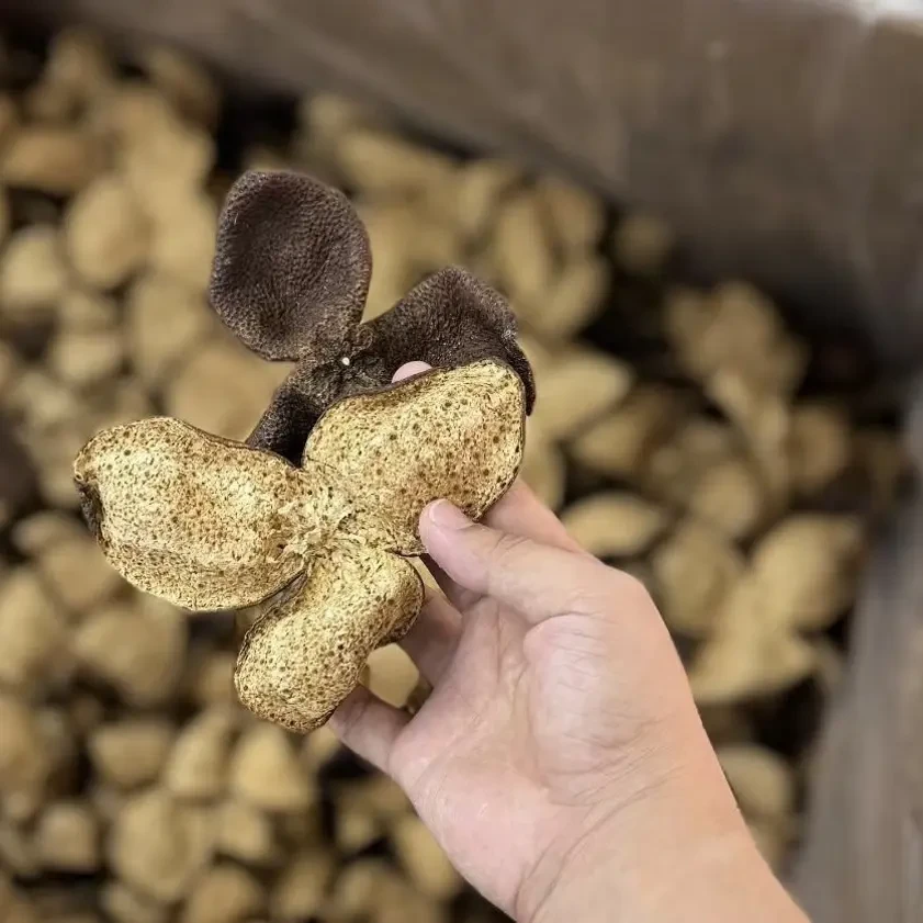 新会陈皮 非核心产区5年陈皮（干仓无工艺）