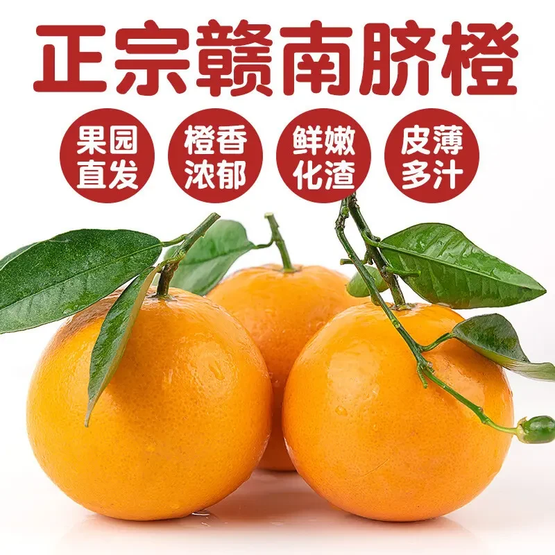 正宗江西赣南脐橙自家果园现摘现发水嫩多汁当季新鲜水果YD