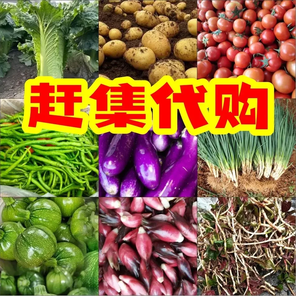 【赶集现场代购】贵州乡村各种农家蔬菜水果干货特产