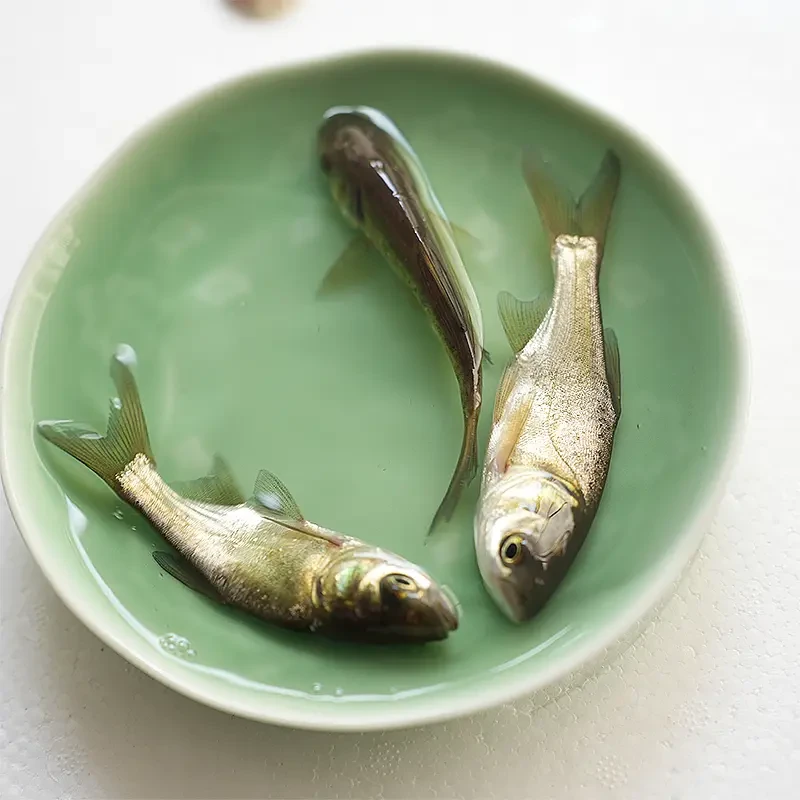 四川冰鲜现捞四川花鲢   生态养殖