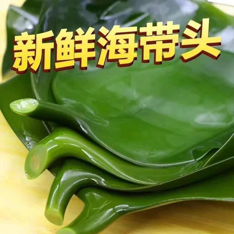 【⑨.⑨抢一斤】霞浦盐渍海带头段炒菜煲汤500g/袋少盐净重发货