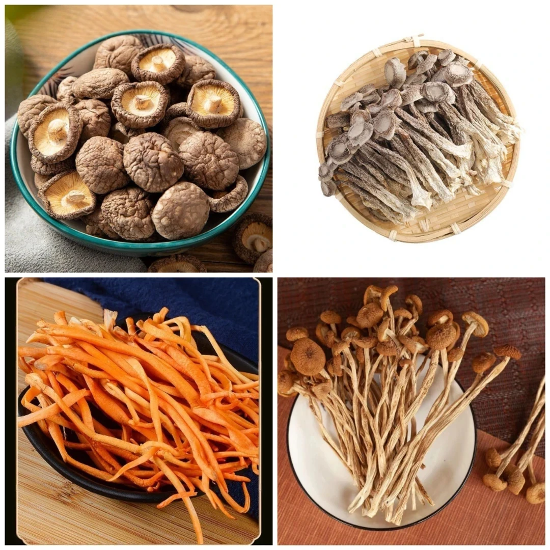 菌菇组合无硫无熏净重（虫草花鹿茸菇小香菇茶树菇）