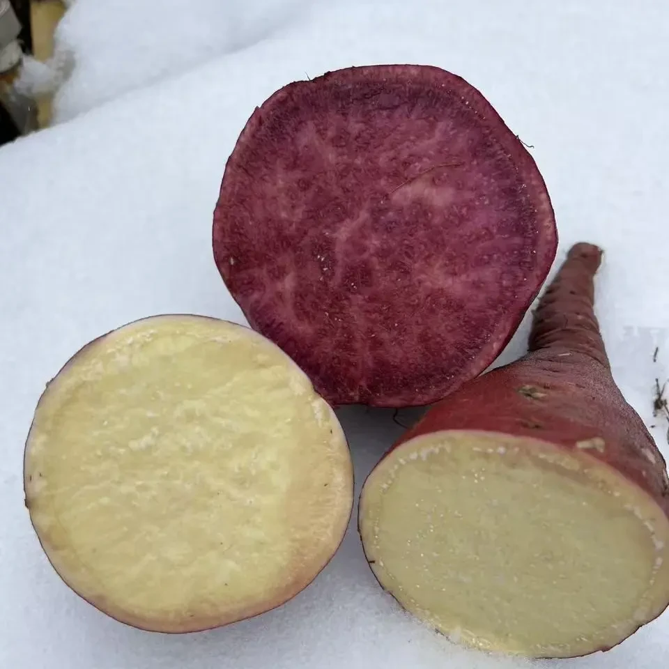 新疆本地沙土地白薯紫薯