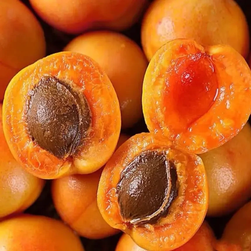 新疆【今天拍，明天到】新疆吊干杏小红杏九鼎直发新疆维吾尔自治区