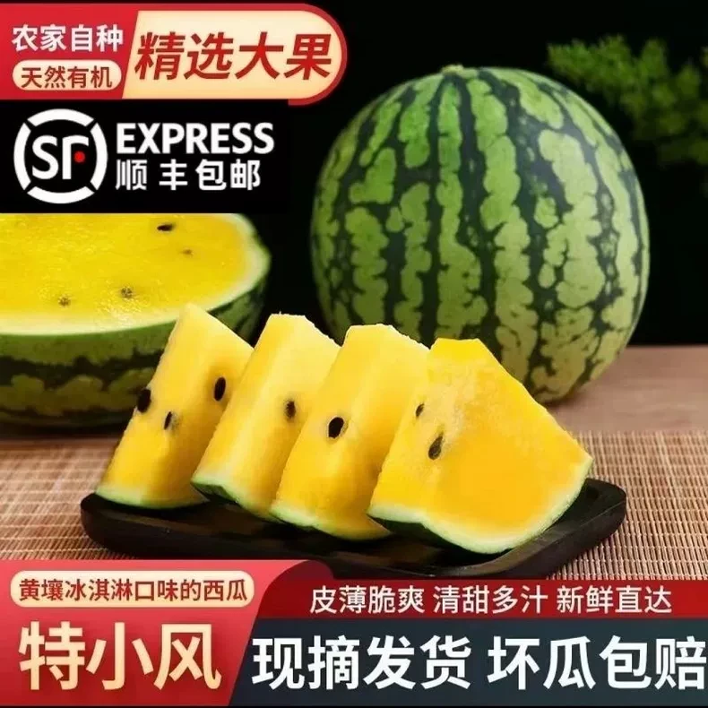 【顺丰包邮】黄心特小凤西瓜水果新鲜麒麟现摘冰淇淋西瓜当季整箱