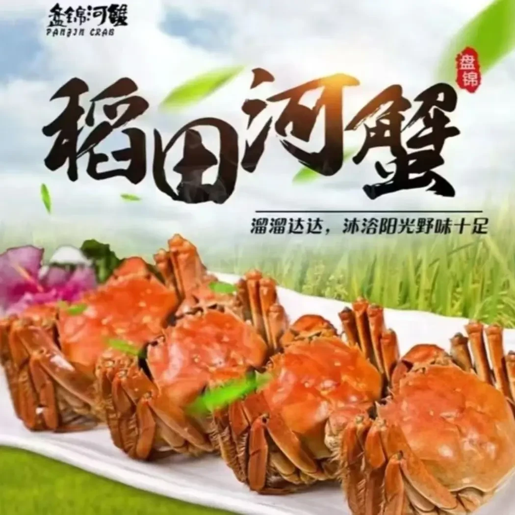 （单只重量0.9-1.2两）母蟹盘锦稻田河蟹每份3斤《27—33只》