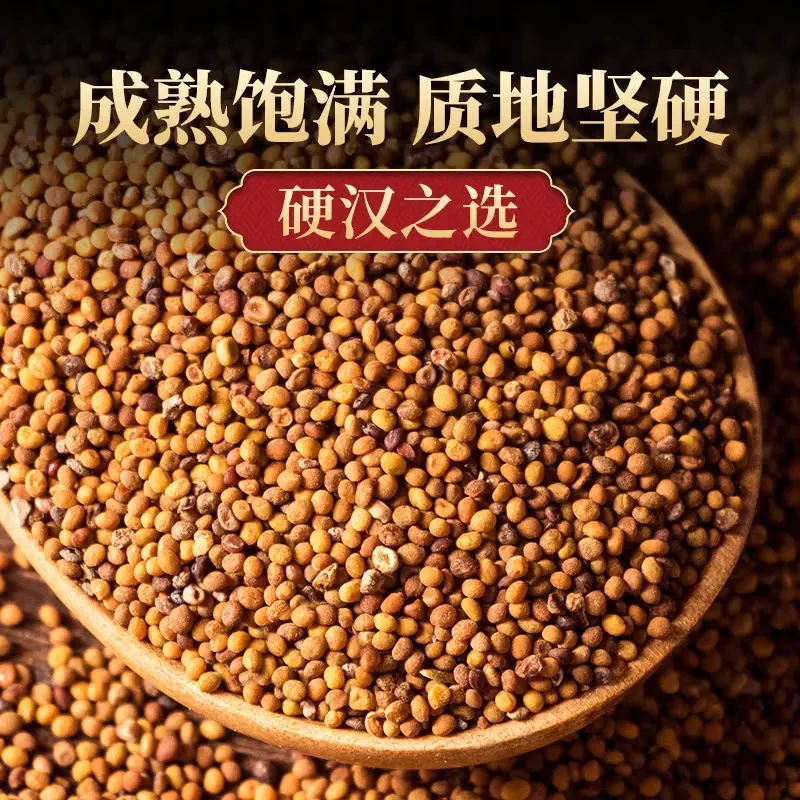 甄选正品内蒙古水洗堍丝子茶可搭配五味子沙苑子枸杞子