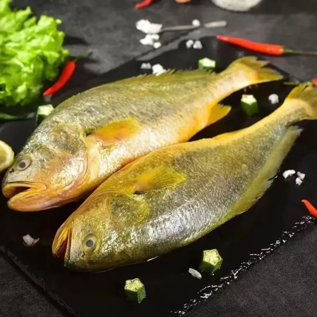 园园海鲜 连云港发货 新鲜速冻大黄花鱼4 两-5 两/条到手8条