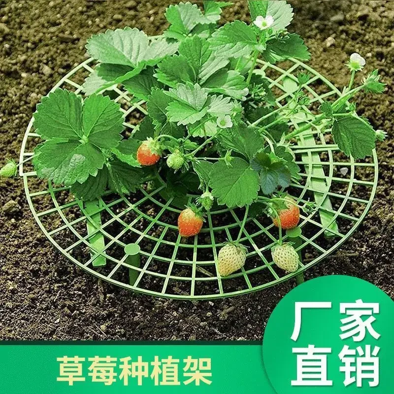 【5个装】家庭草莓托盘支架支撑盆栽种植防腐烂支园艺果实托架子好