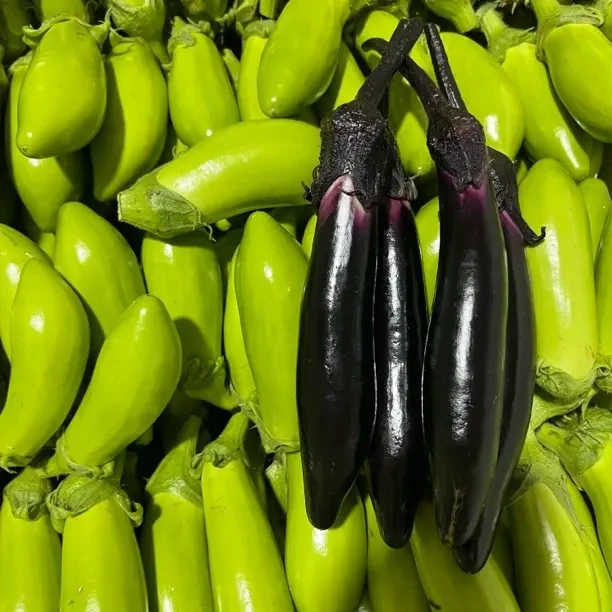 东北新鲜小紫绿茄子可生吃蘸酱做蒜茄子现摘现发