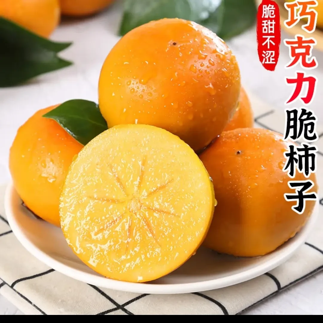 (25年新果)陕西阳丰巧克力脆柿-包甜包脆柿子