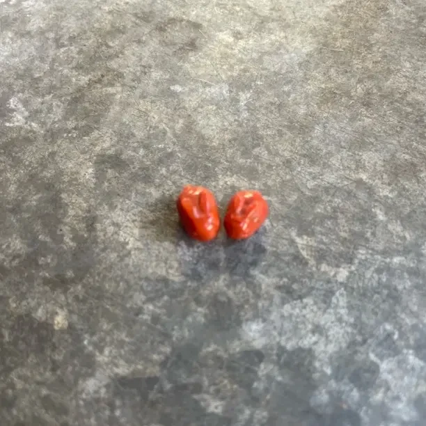 四川大凉山州南红玛瑙两个小兔子