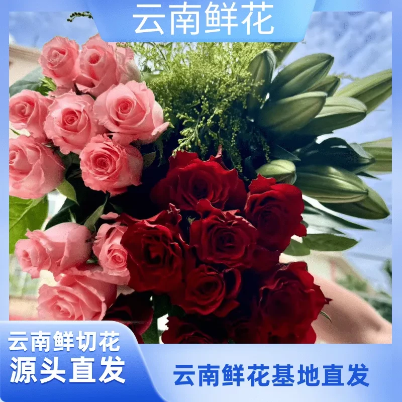 【云南鲜花】红玫瑰10枝+百合10朵+粉玫瑰10支+配草 云南昆明直发